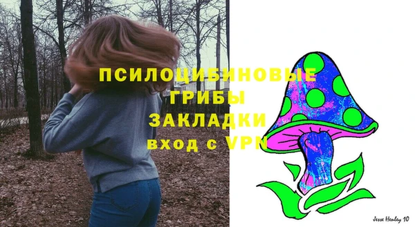 спиды Алексеевка