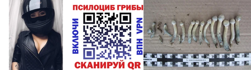 Галлюциногенные грибы мицелий  Сольвычегодск 